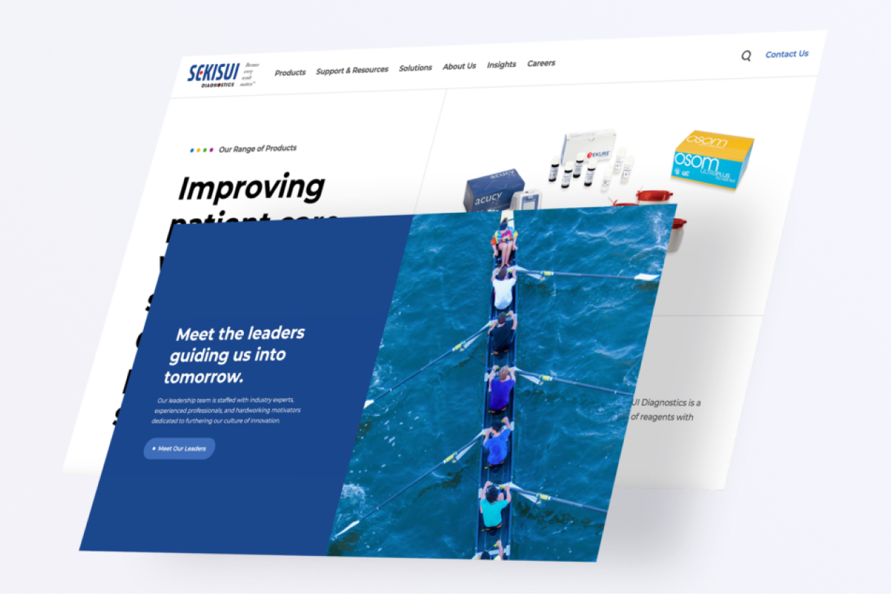 Screenshot of Sekisui Diagnostics website showing medical products, mission statement, and a team rowing a boat.